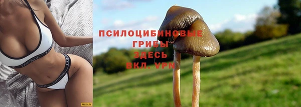 2c-b Зерноград