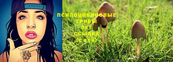 2c-b Зерноград